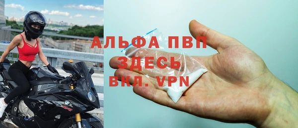 СК Богородск