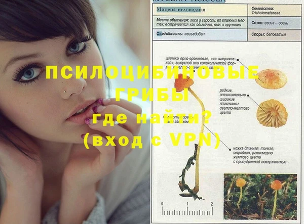 дурь Бронницы