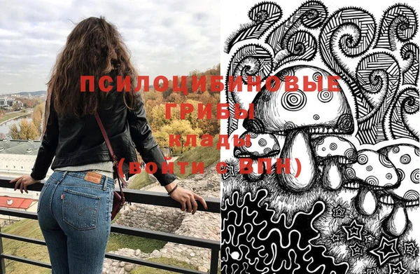 трава Сясьстрой