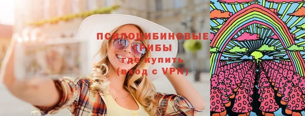спиды Богородицк