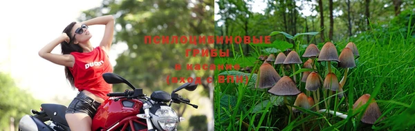 спиды Бугульма