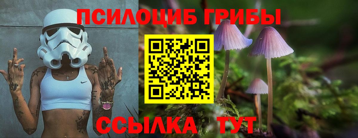 Галлюциногенные грибы мицелий  наркошоп  Гусев  Вход с VPN 